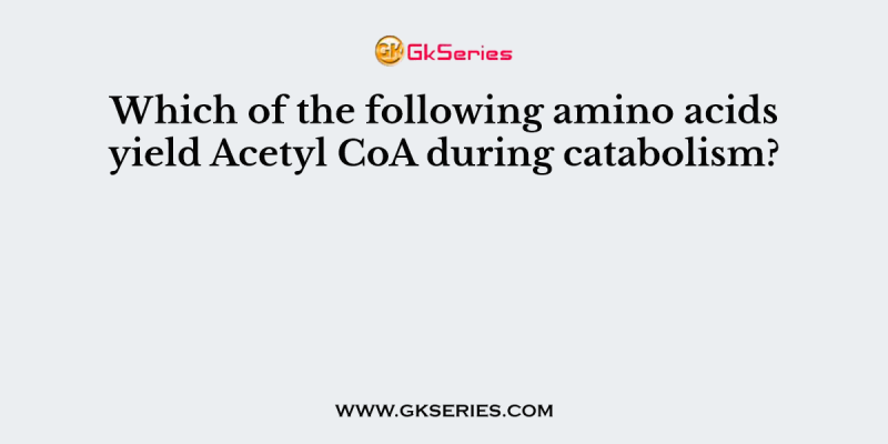 Which of the following amino acids yield Acetyl CoA during catabolism?