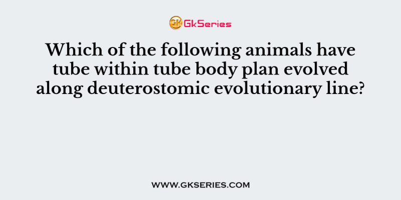 Which of the following animals have tube within tube body plan evolved along deuterostomic evolutionary line?