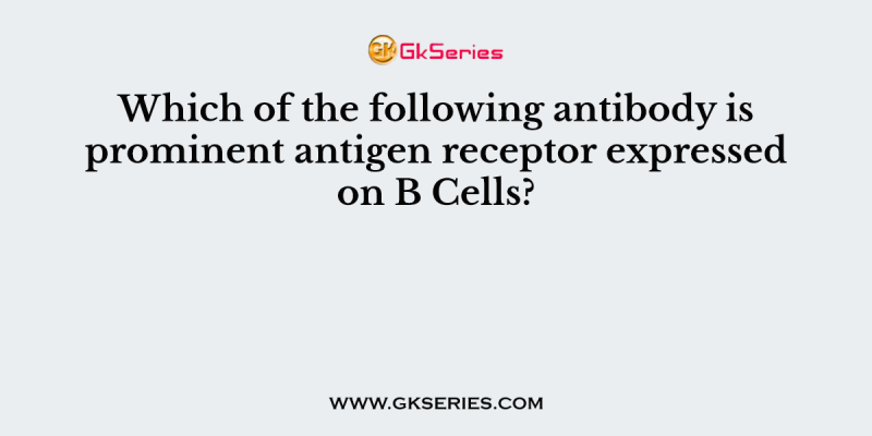 Which of the following antibody is prominent antigen receptor expressed on B Cells?