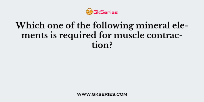 Which of the following cannot be a part of a vegan diet?