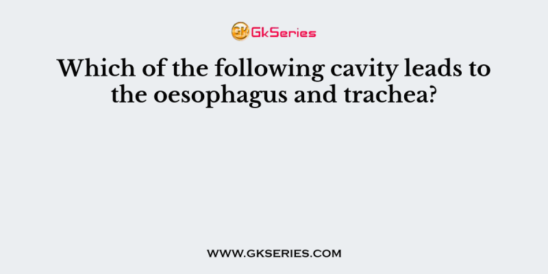 Which of the following cavity leads to the oesophagus and trachea?