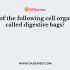 Which of the following cell organelles contains RNA?