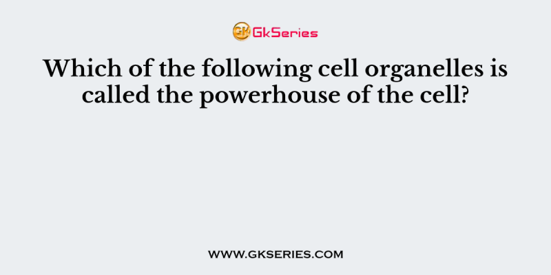 Which of the following cell organelles is called the powerhouse of the cell?