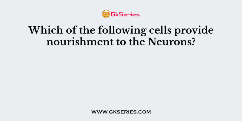 Which of the following cells provide nourishment to the Neurons?