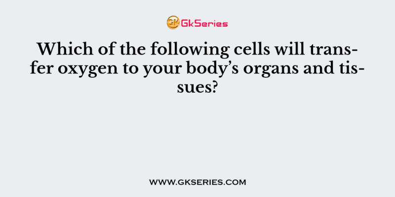 Which of the following cells will transfer oxygen to your body’s organs and tissues?