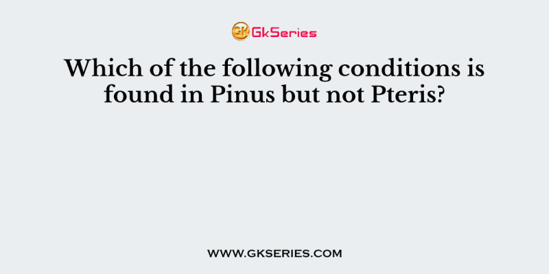 Which of the following conditions is found in Pinus but not Pteris?