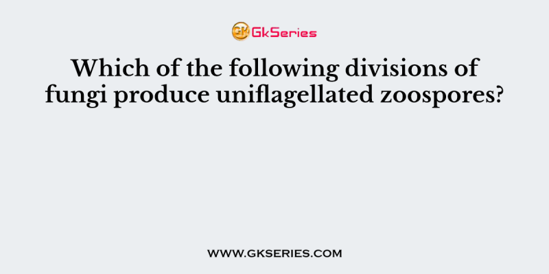 Which of the following divisions of fungi produce uniflagellated zoospores?
