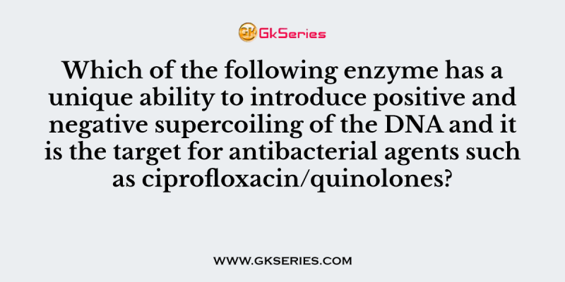 Which of the following enzyme has a unique ability to introduce positive and negative supercoiling of the DNA and it is the target for antibacterial agents such as ciprofloxacin/quinolones?