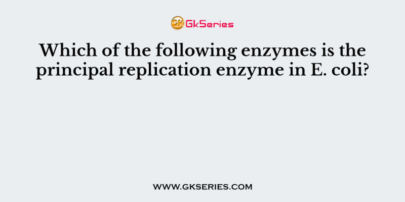 Which of the following enzymes is the principal replication enzyme in E. coli?