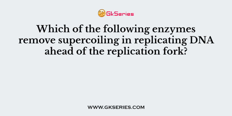 Which of the following enzymes remove supercoiling in replicating DNA ahead of the replication fork?
