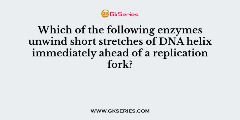 Which of the following enzymes unwind short stretches of DNA helix immediately ahead of a replication fork?
