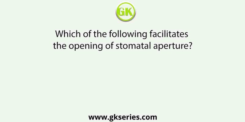 Which of the following facilitates the opening of stomatal aperture?