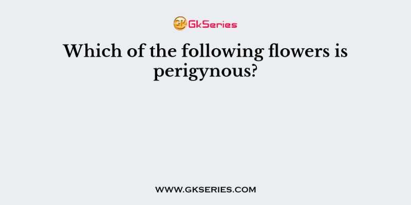 Which of the following flowers is perigynous?