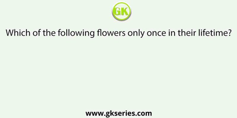 Which of the following flowers only once in their lifetime?