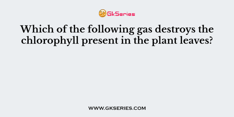 Which of the following gas destroys the chlorophyll present in the plant leaves?