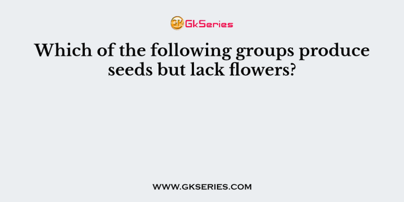 Which of the following groups produce seeds but lack flowers?