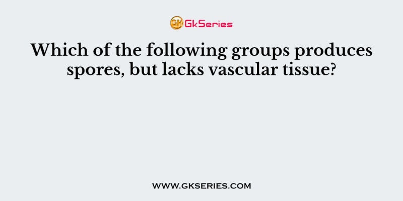 Which of the following groups produces spores, but lacks vascular tissue?