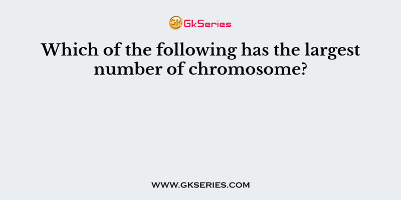 Which of the following has the largest number of chromosome?