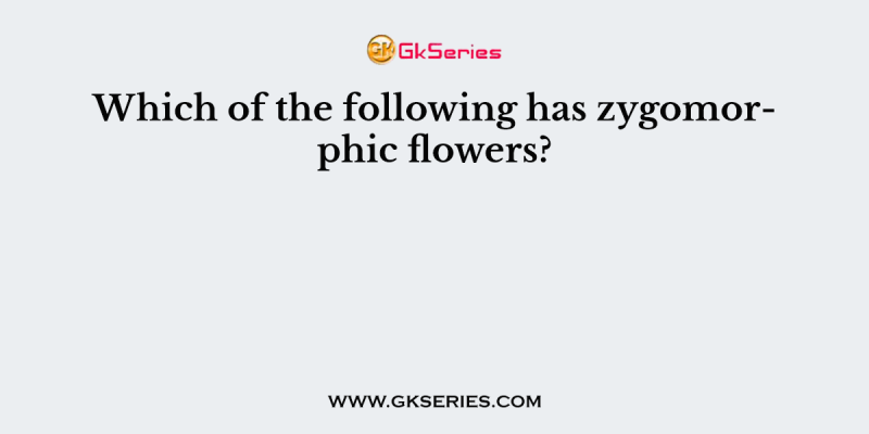 Which of the following has zygomorphic flowers?