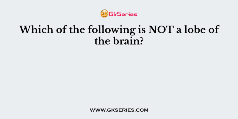 Which of the following is NOT a lobe of the brain?