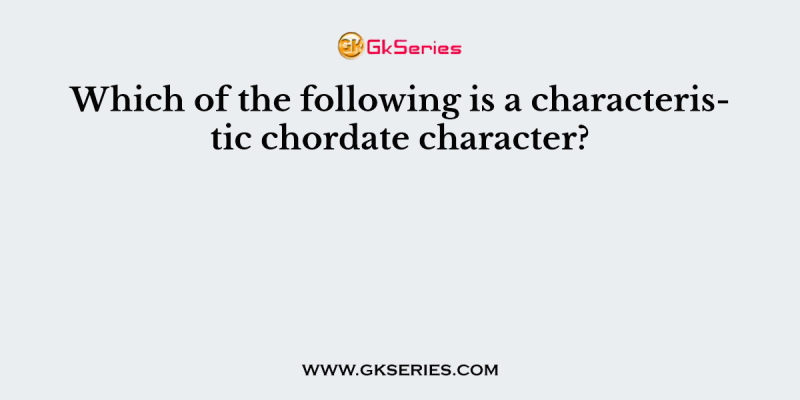 Which of the following is a characteristic chordate character?