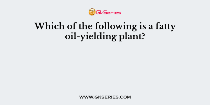Which of the following is a fatty oil-yielding plant?