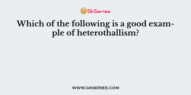 Which of the following is a good example of heterothallism?