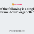 Which of the following cell organelles is involved in the breakdown of organic matter?