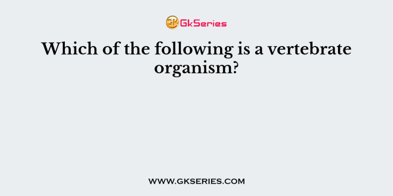 Which of the following is a vertebrate organism?