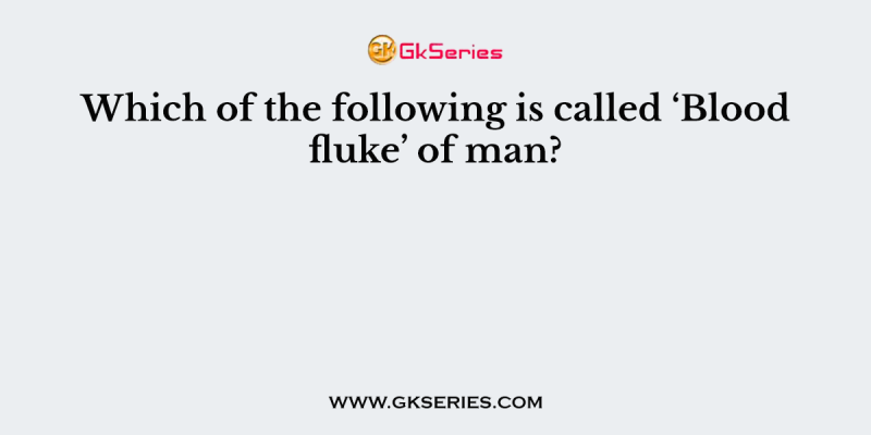 Which of the following is called ‘Blood fluke’ of man?