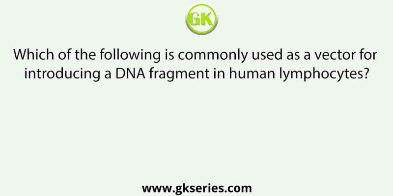Which of the following is commonly used as a vector for introducing a DNA fragment in human lymphocytes?