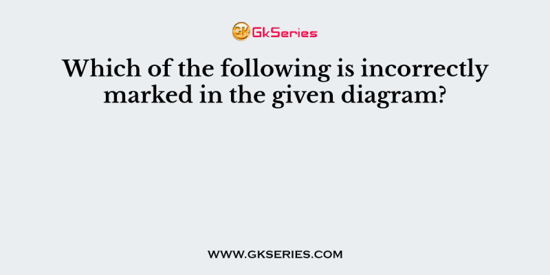 Which of the following is incorrectly marked in the given diagram?