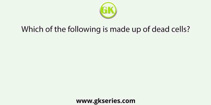 Which of the following is made up of dead cells?