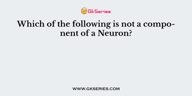 Which of the following is not a component of a Neuron?
