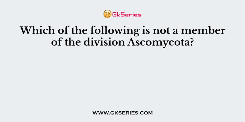 Which of the following is not a member of the division Ascomycota?