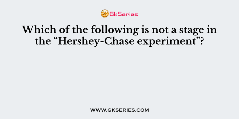 Which of the following is not a stage in the “Hershey-Chase experiment”?