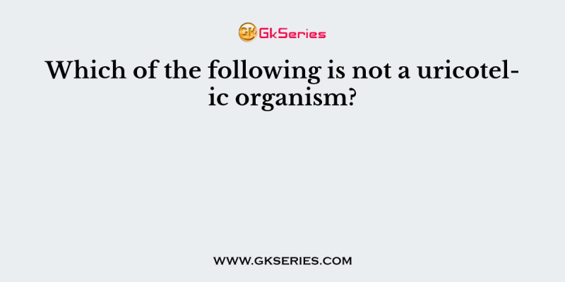 Which of the following is not a uricotelic organism?