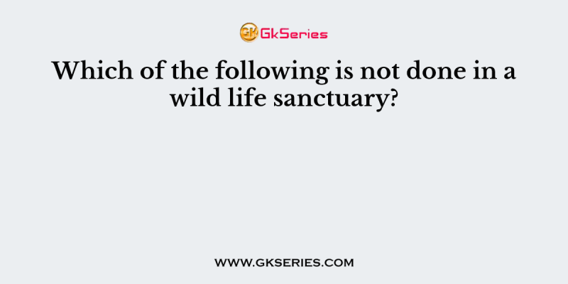 Which of the following is not done in a wild life sanctuary?