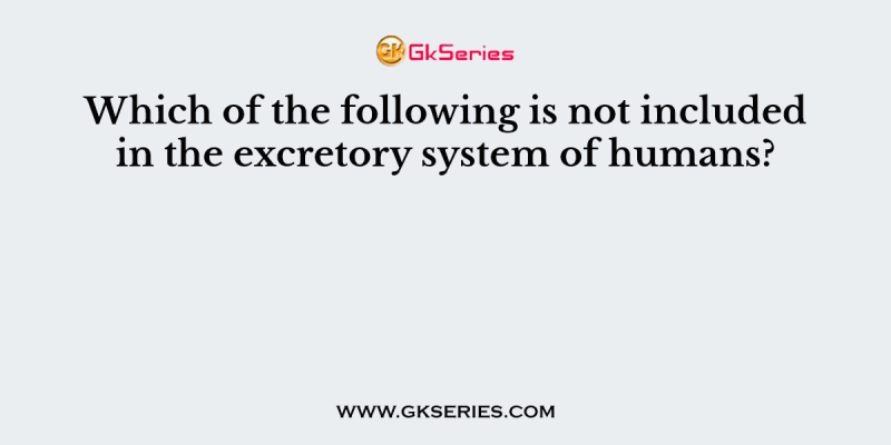 Which of the following is not included in the excretory system of humans?