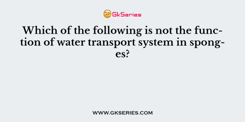 Which of the following is not the function of water transport system in sponges?