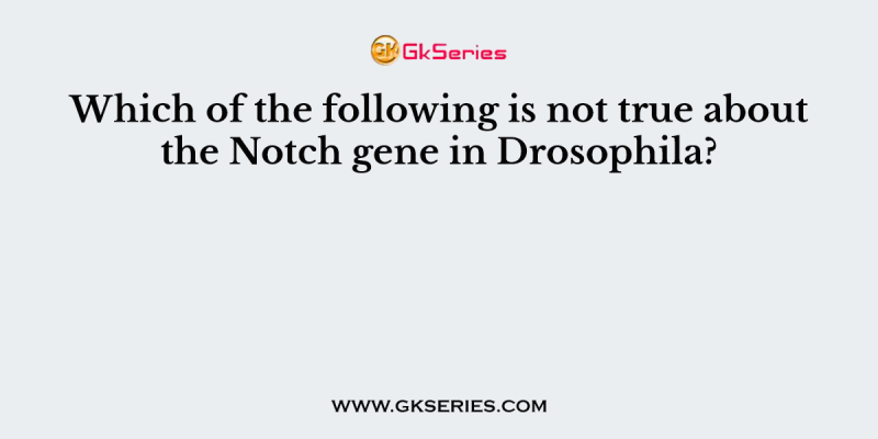 Which of the following is not true about the Notch gene in Drosophila?