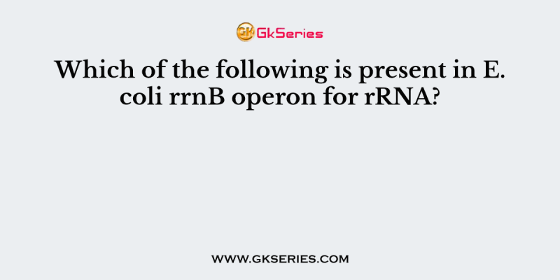Which of the following is present in E. coli rrnB operon for rRNA?
