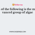 Which of the algae is responsible for red colour of red sea