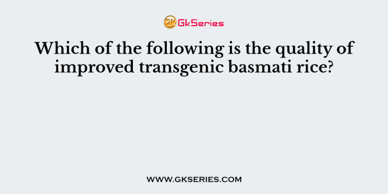 Which of the following is the quality of improved transgenic basmati rice?