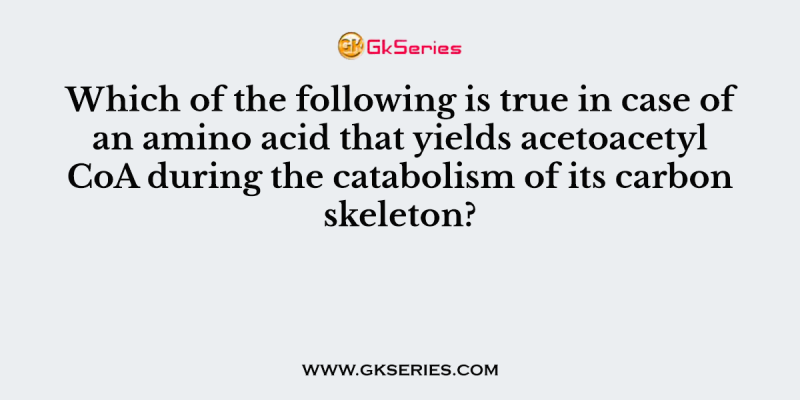 Which of the following is true in case of an amino acid that yields acetoacetyl CoA during the catabolism of its carbon skeleton?