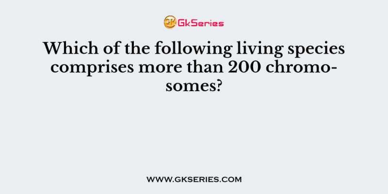 Which of the following living species comprises more than 200 chromosomes?