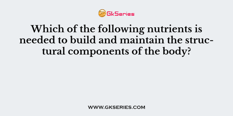 Which of the following nutrients is needed to build and maintain the structural components of the body?