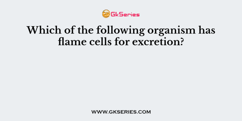 Which of the following organism has flame cells for excretion?
