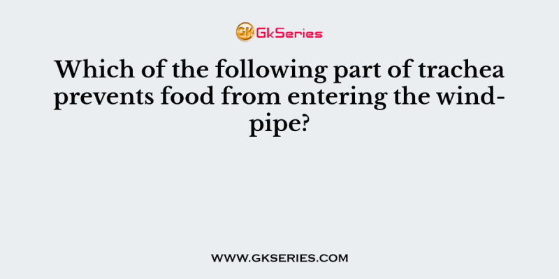 Which of the following part of trachea prevents food from entering the windpipe?
