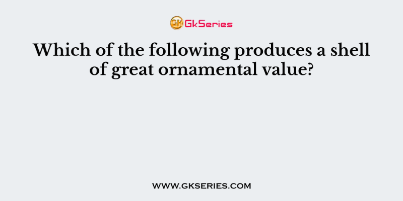 Which of the following produces a shell of great ornamental value?